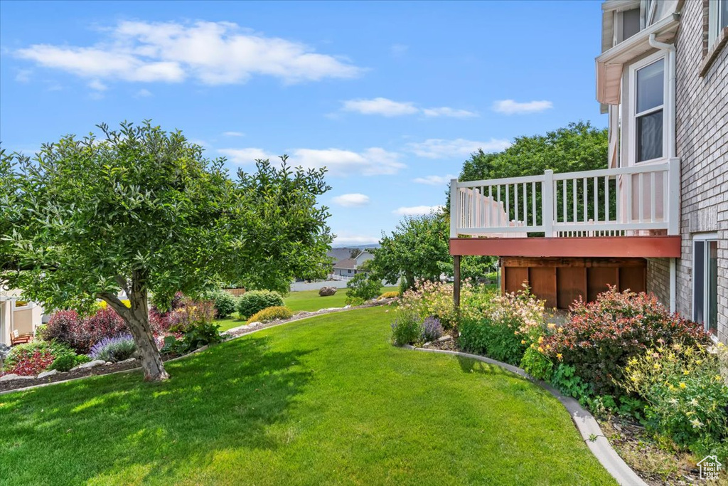 View of grassy yard