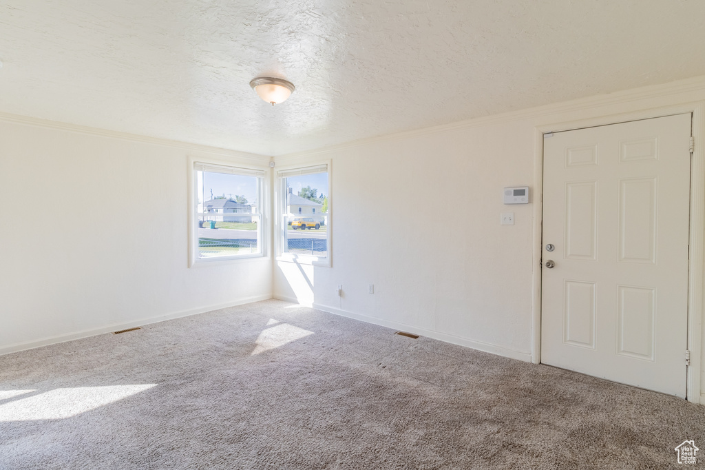 Spare room featuring carpet, baseboards, ornamental molding, and a textured ceiling