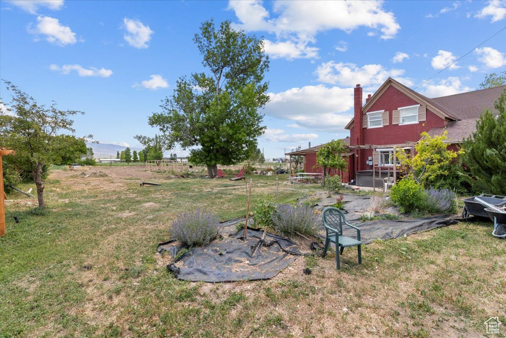 View of grassy yard