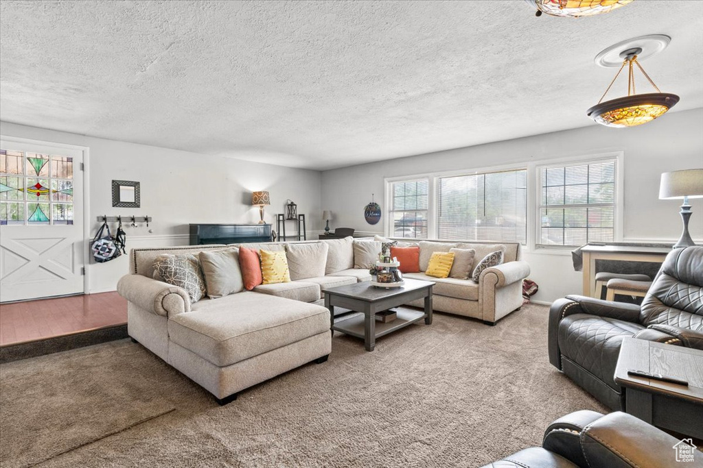Living area with a textured ceiling and carpet
