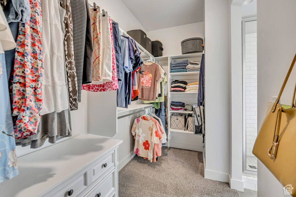 Spacious closet with light carpet