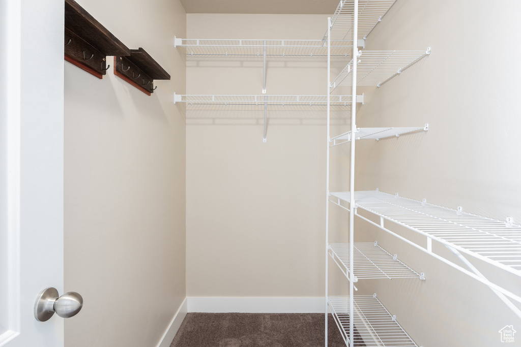 Walk in closet featuring carpet