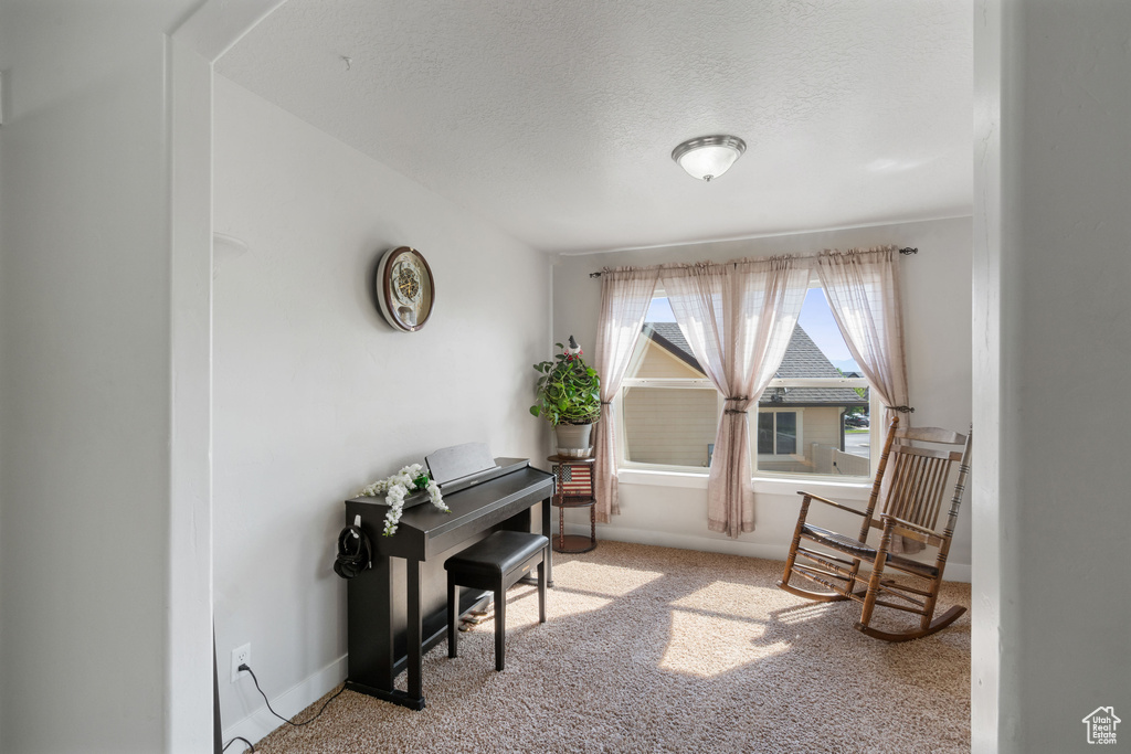Living area with carpet, a textured ceiling, and baseboards
