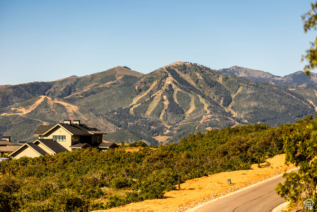 View of mountain background