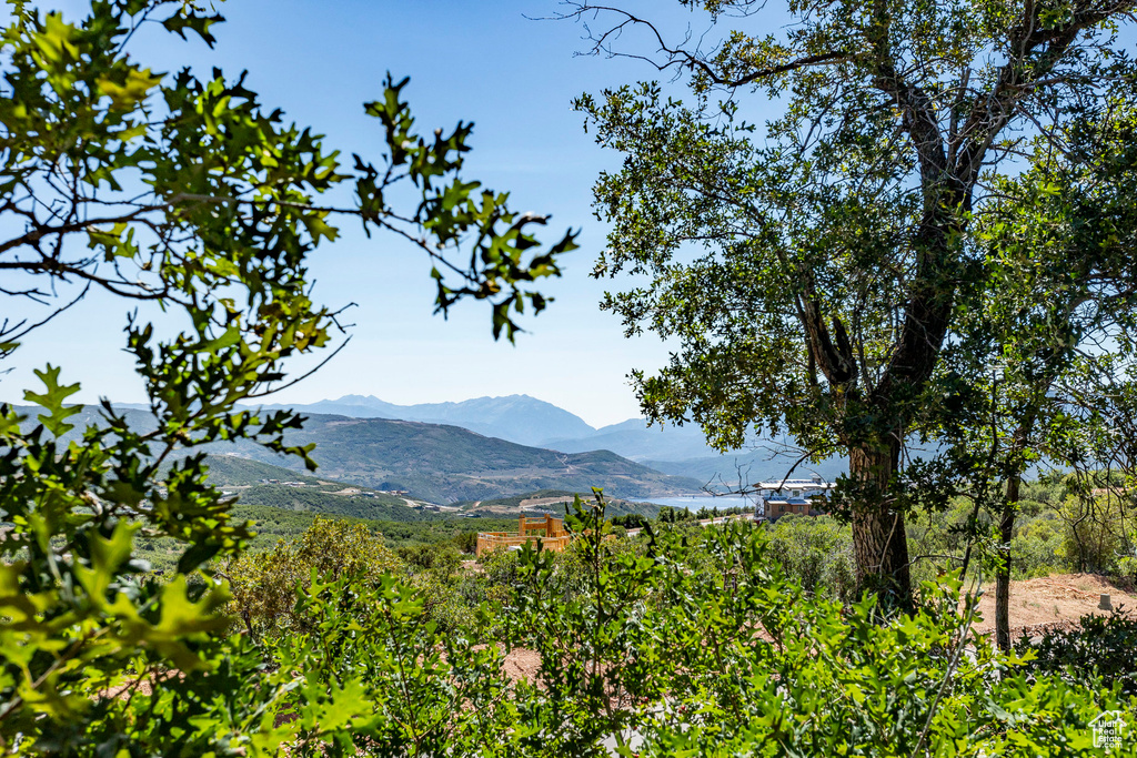 View of mountain background