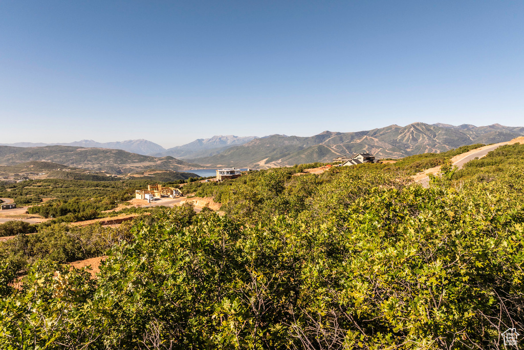 View of mountain background
