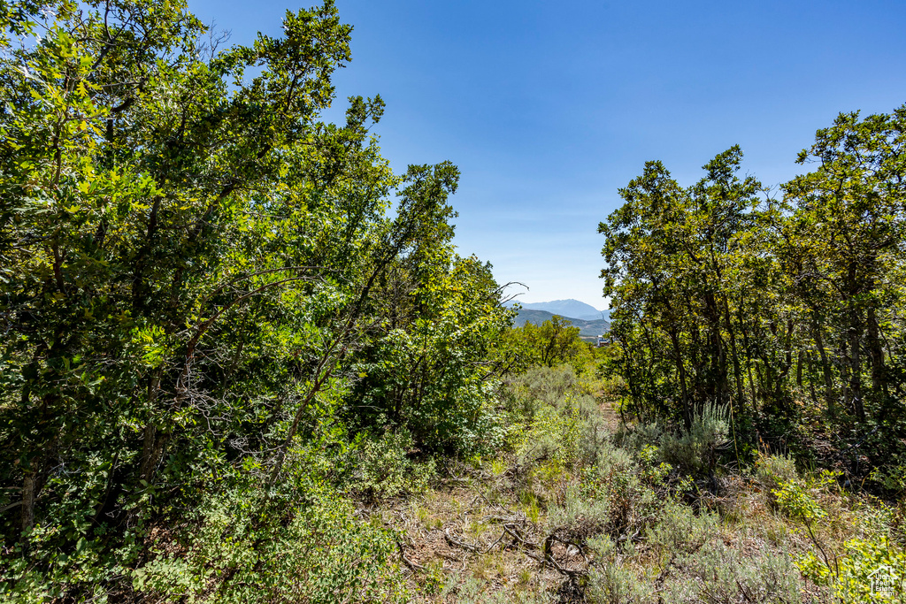 View of nature with a mountainous background