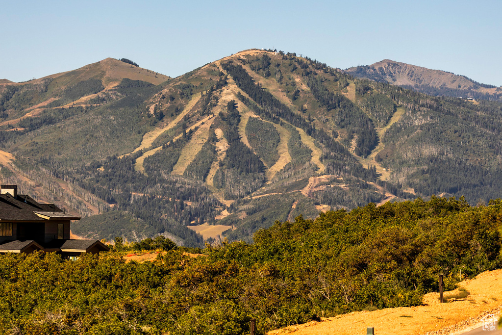 Mountain view