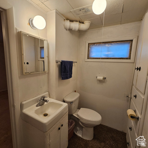 Bathroom featuring toilet, vanity, and a drop ceiling
