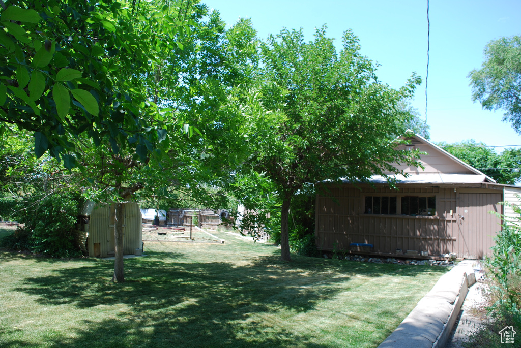 View of grassy yard
