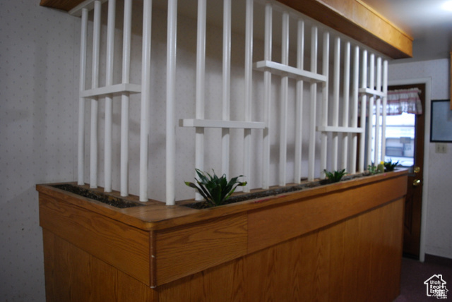 Detailed view of wallpapered walls