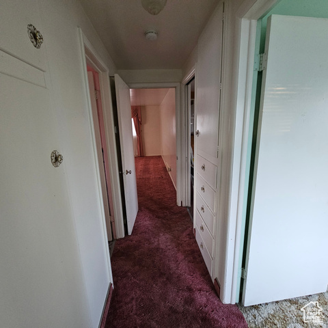 Hallway featuring carpet floors