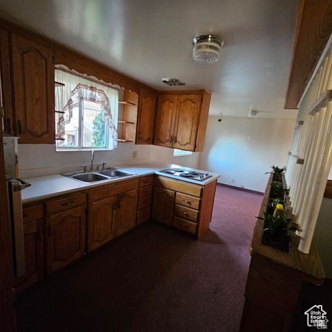Kitchen featuring a sink, brown cabinets, dark carpet, stainless steel cooktop, and light countertops