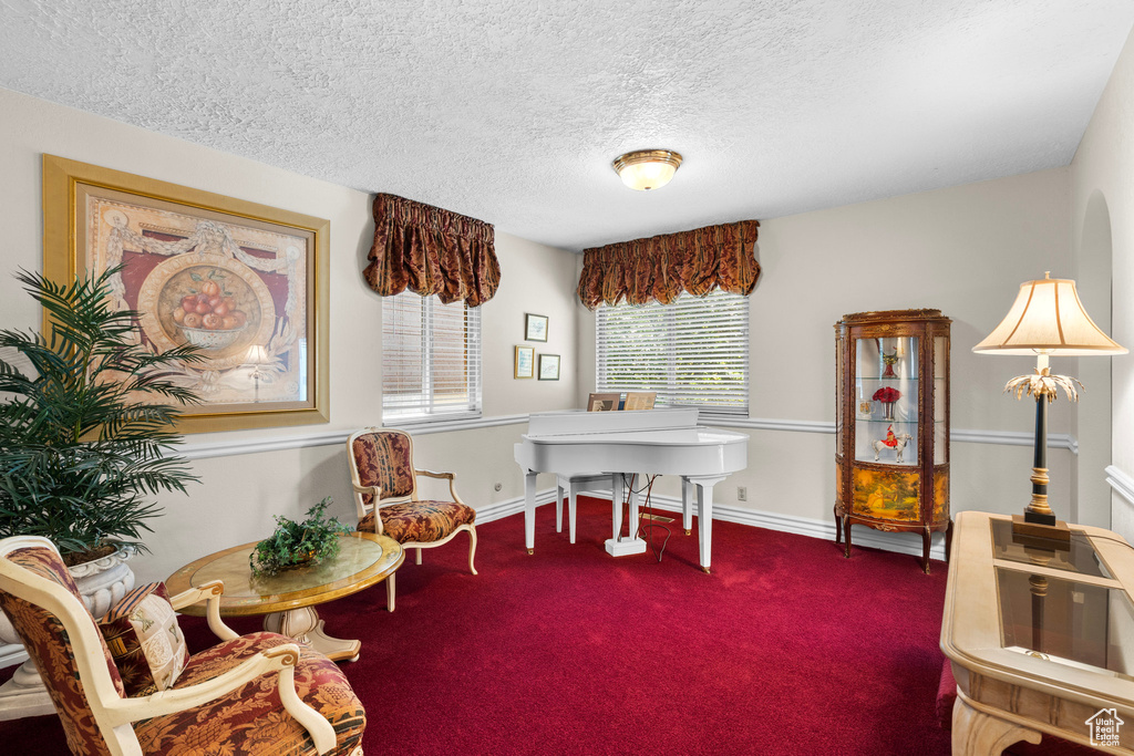 Office with a textured ceiling and carpet floors