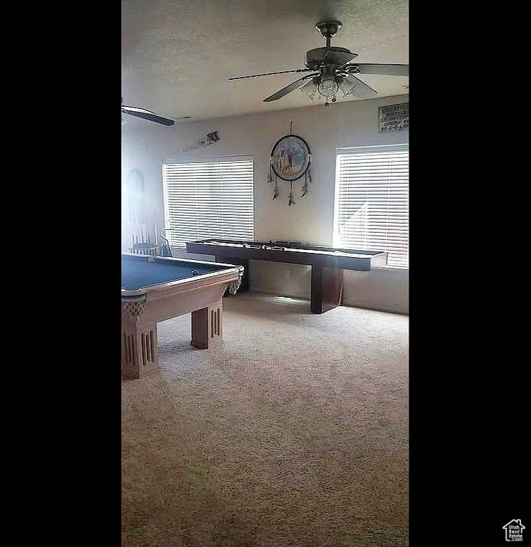 Game room with a ceiling fan, carpet floors, and billiards