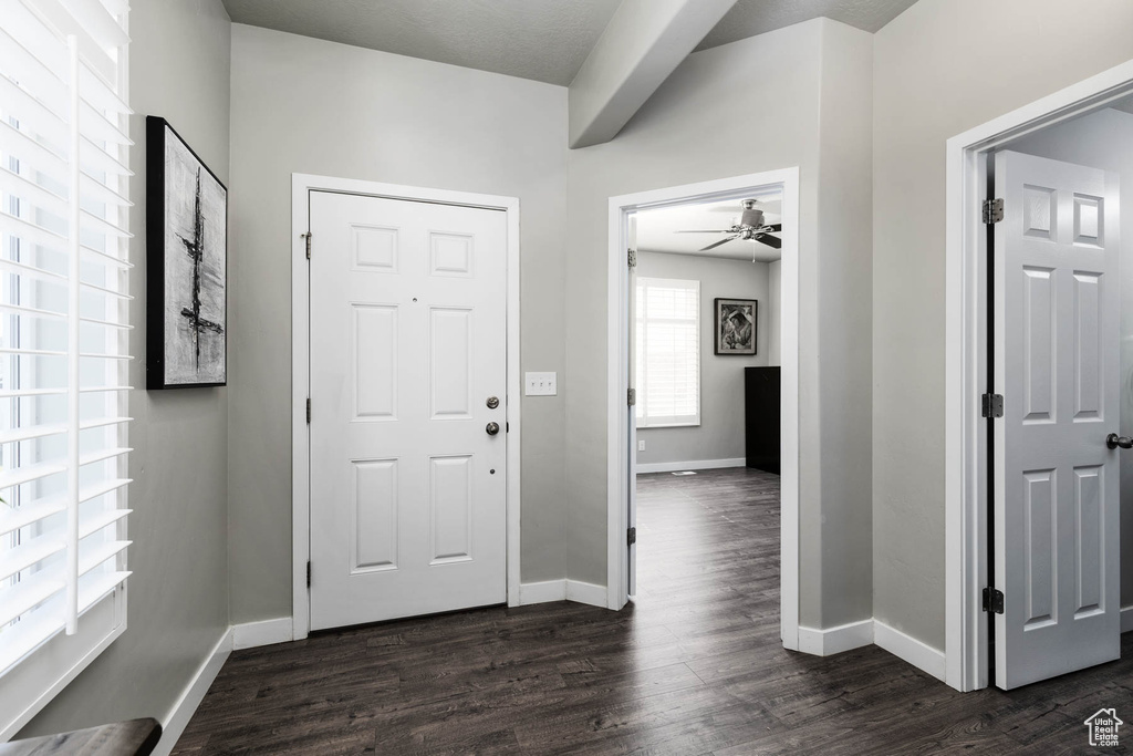 Foyer entrance featuring dark wood finished floors, ceiling fan, and baseboards