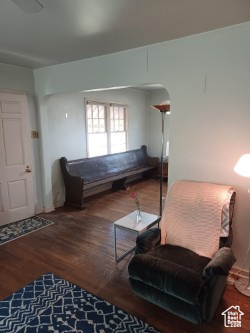 Living area featuring wood finished floors and arched walkways