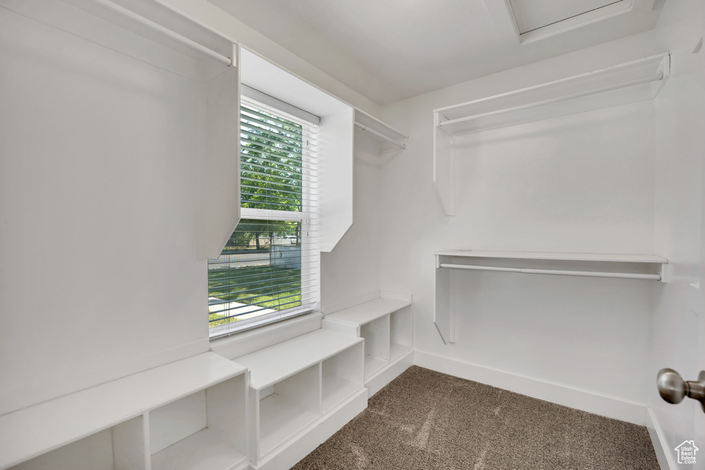 Spacious closet featuring dark colored carpet