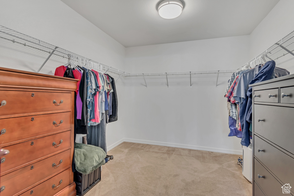 Spacious closet with light carpet