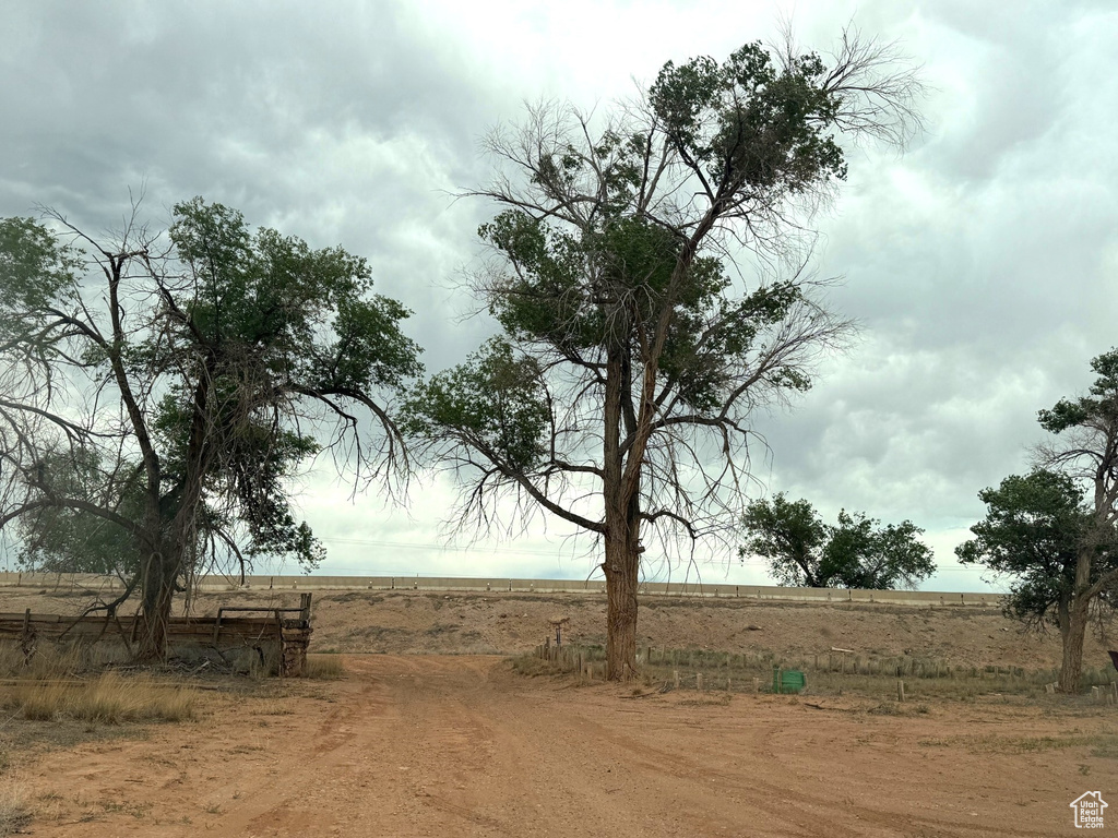 View of road with a view of rural / pastoral area