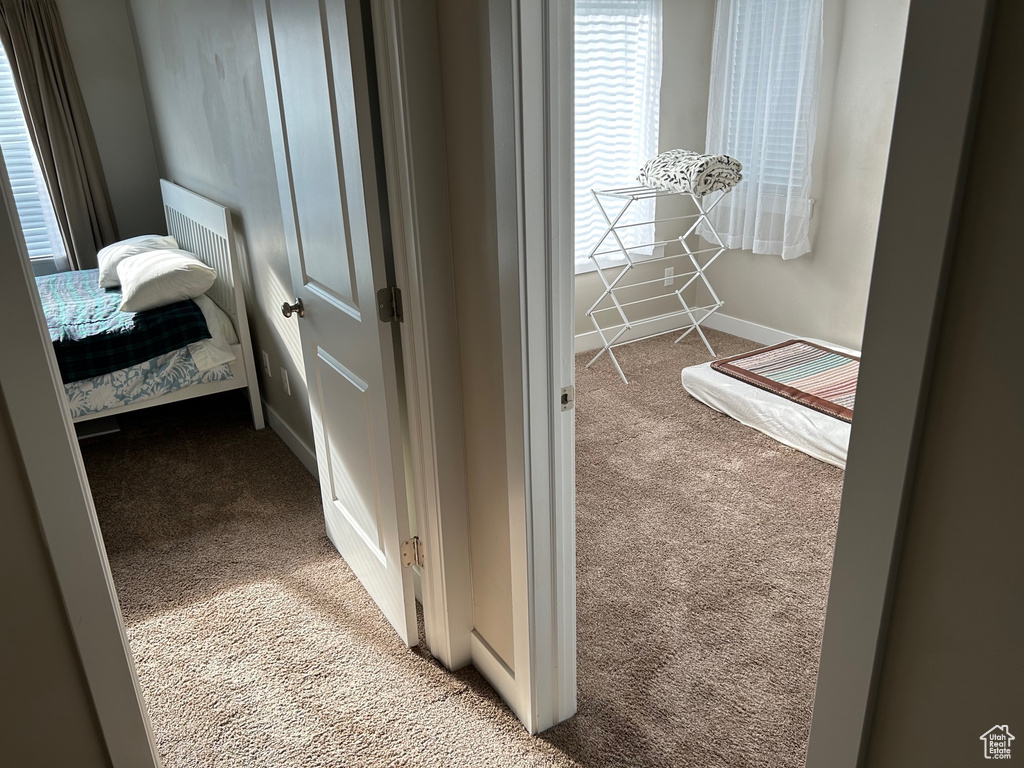 Bedroom / living area view of carpet and baseboards