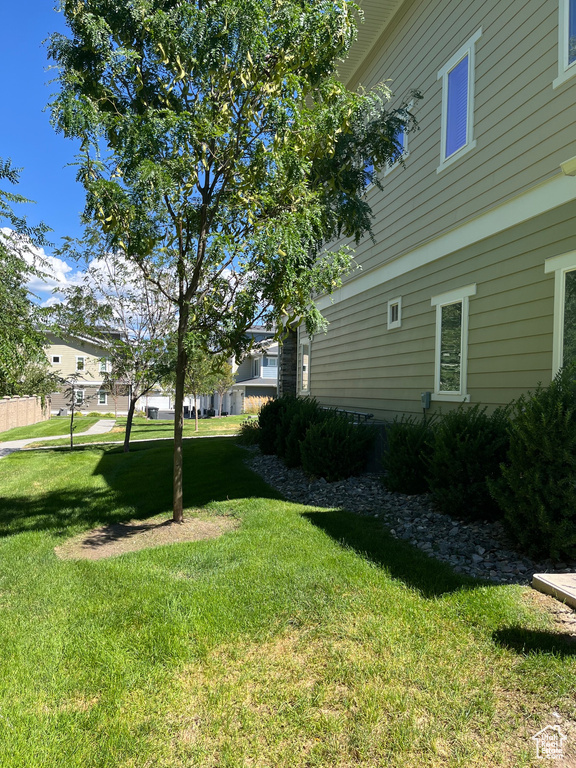 View of grassy yard