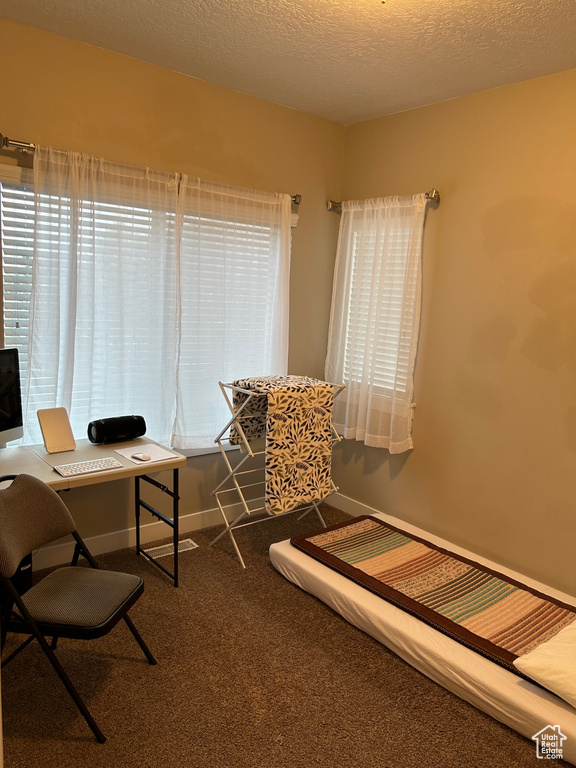 Carpeted home office with baseboards and a textured ceiling