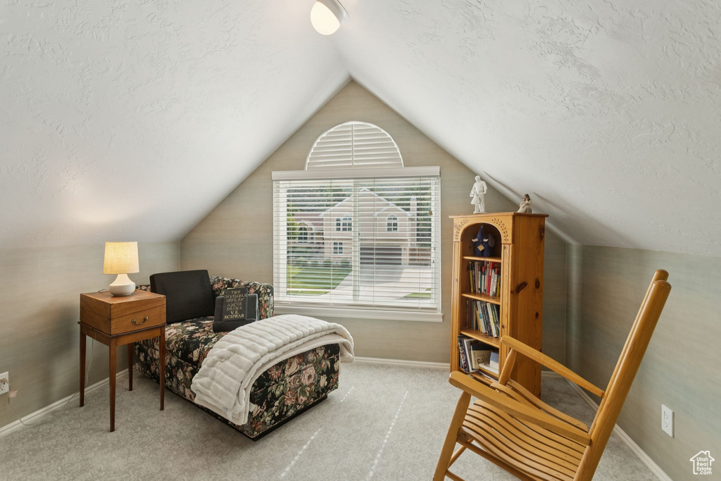 Living area featuring a textured ceiling, vaulted ceiling, baseboards, and carpet floors