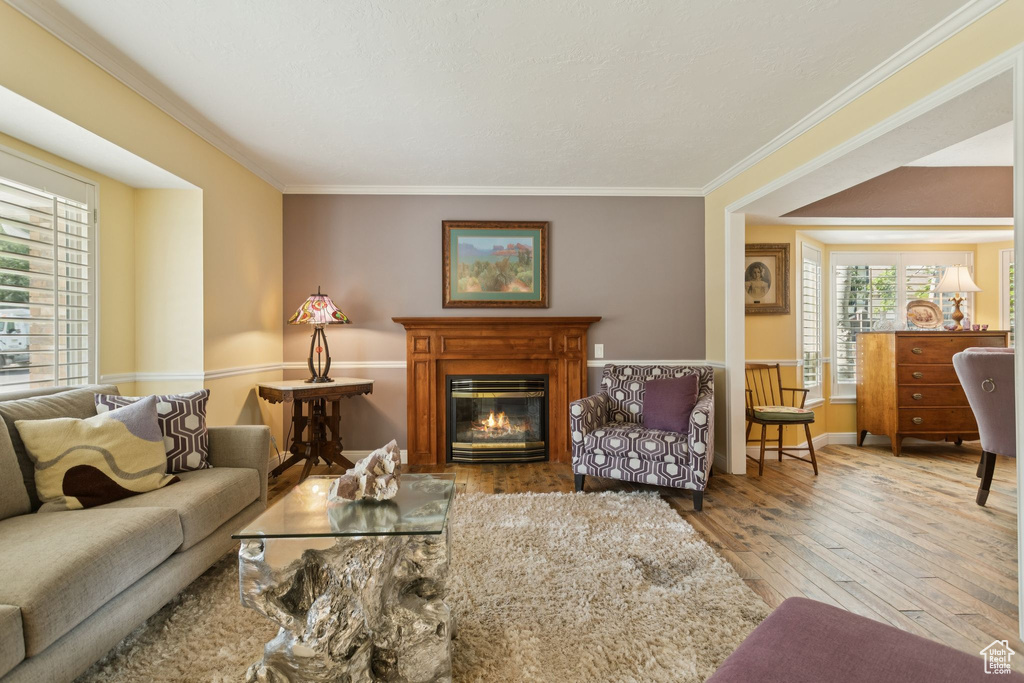 Living area with crown molding, hardwood / wood-style floors, and a glass covered fireplace