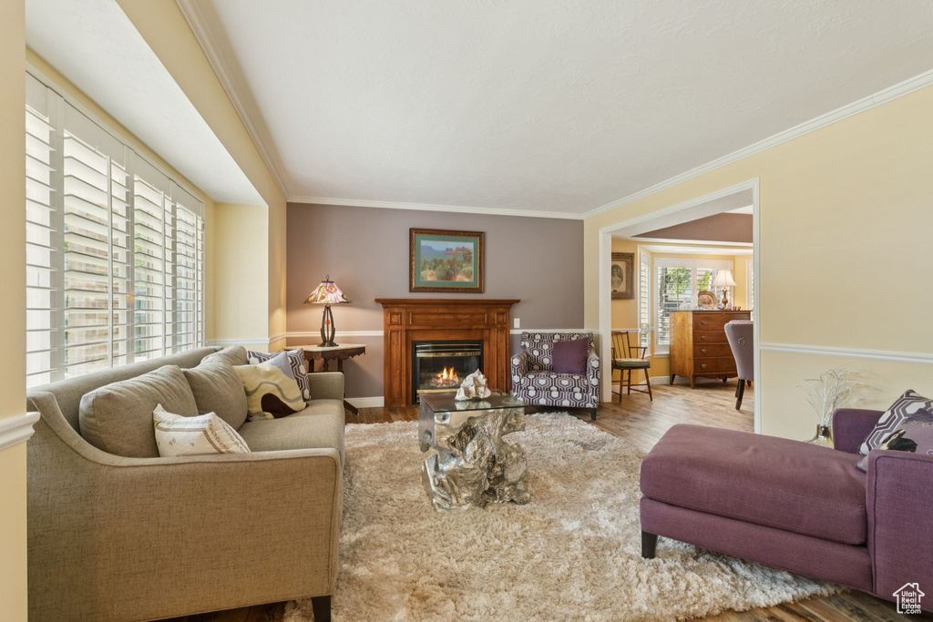 Living area featuring a glass covered fireplace, wood finished floors, crown molding, and baseboards