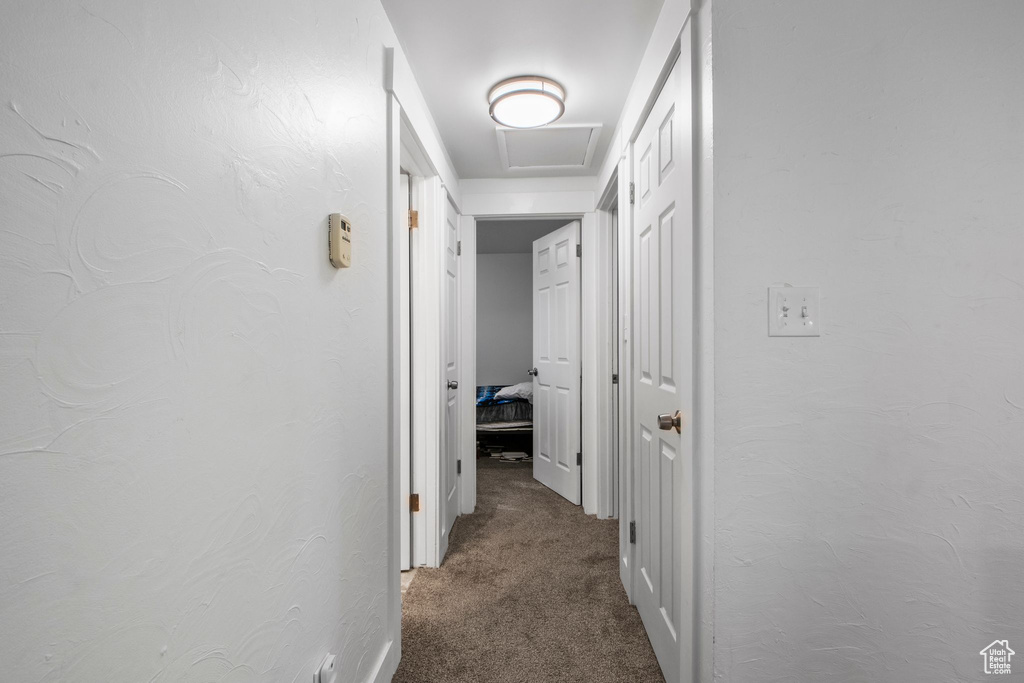 Hall with carpet and attic access