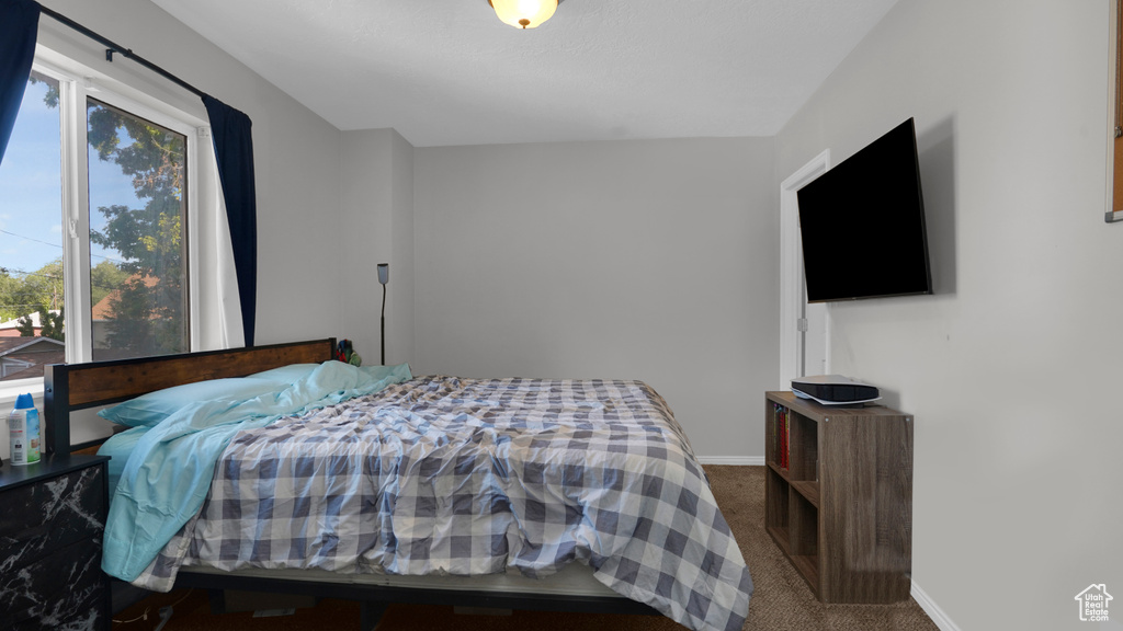 Bedroom with multiple windows, carpet floors, and baseboards