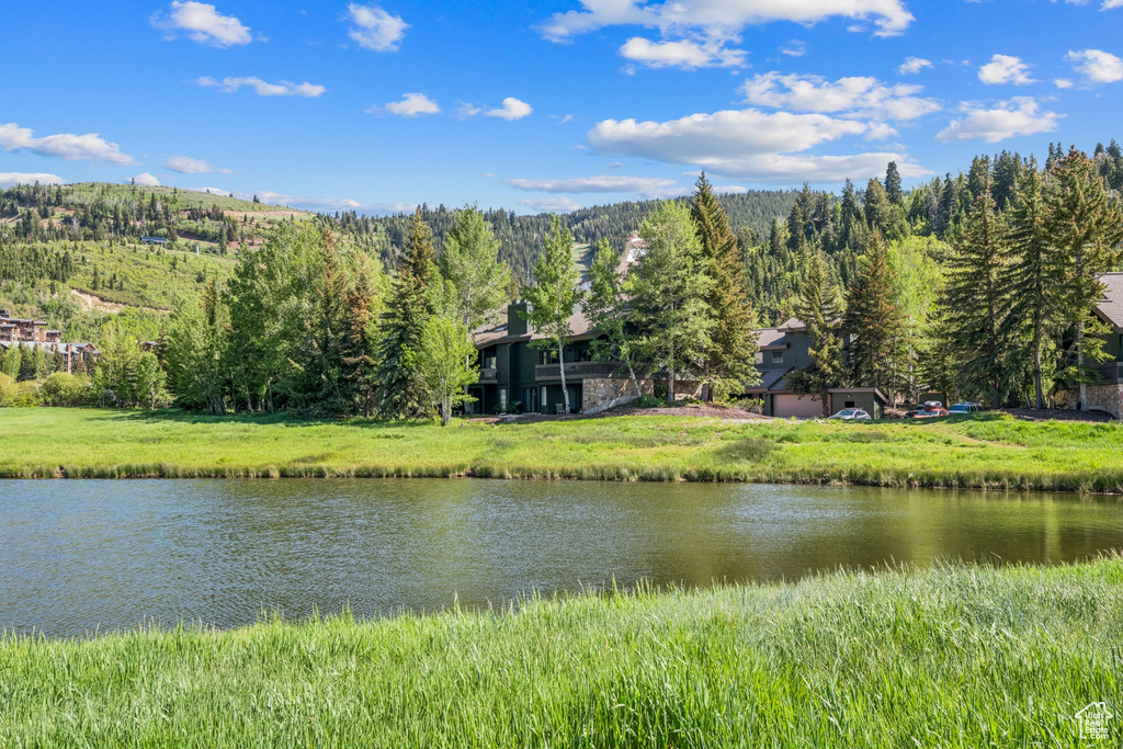 Water view featuring a forest