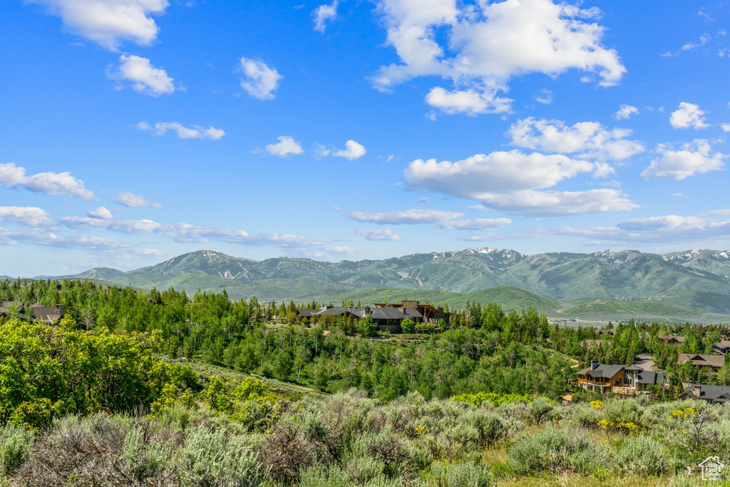 View of mountain background