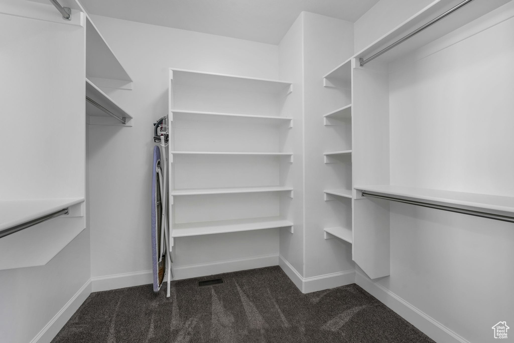 Spacious closet with carpet flooring
