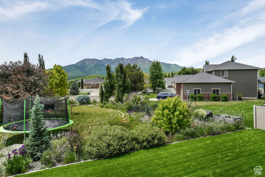 View of green lawn featuring a trampoline and a mountain view