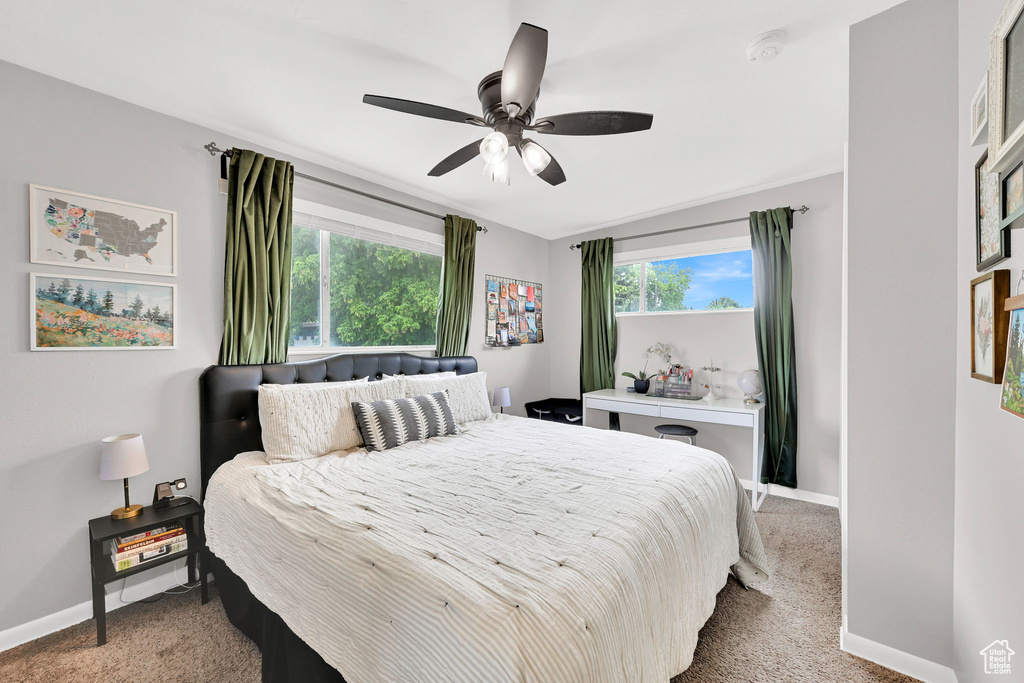 Bedroom with carpet floors, multiple windows, and baseboards