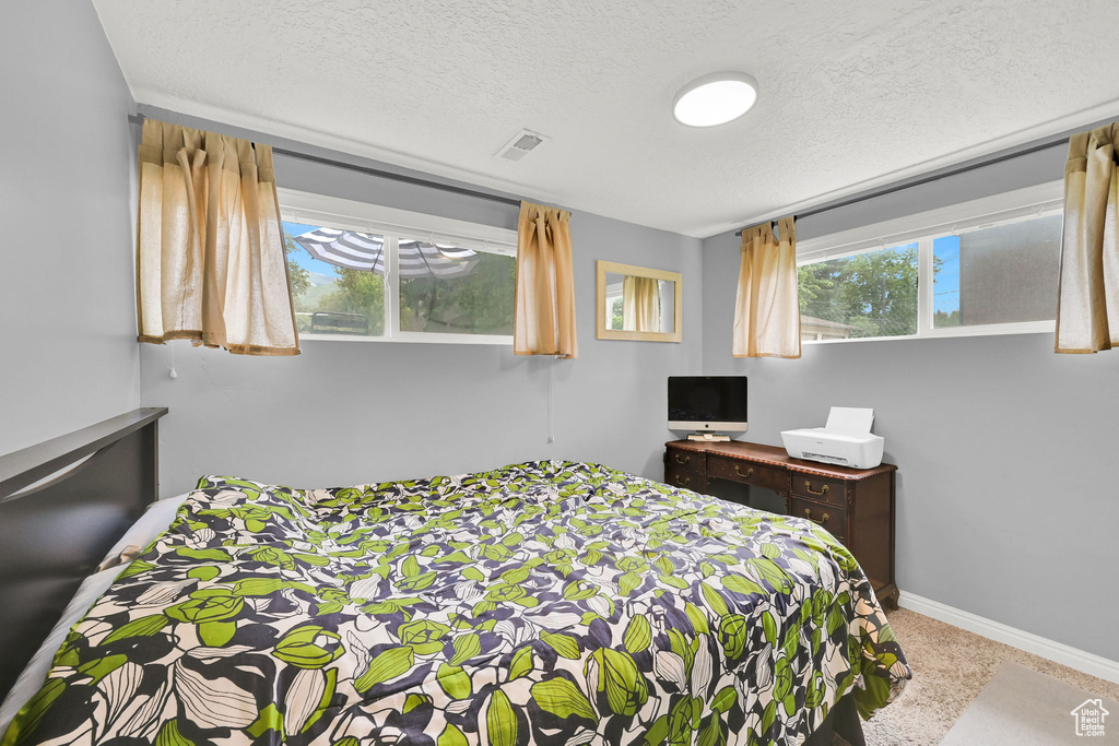 Bedroom featuring multiple windows, a textured ceiling, and baseboards
