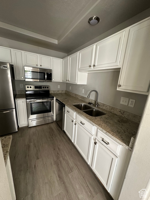 Kitchen featuring stainless steel appliances, a sink, white cabinetry, and dark wood finished floors