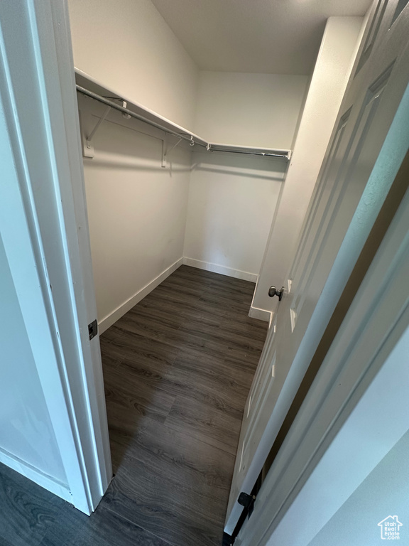 Spacious closet with dark wood finished floors
