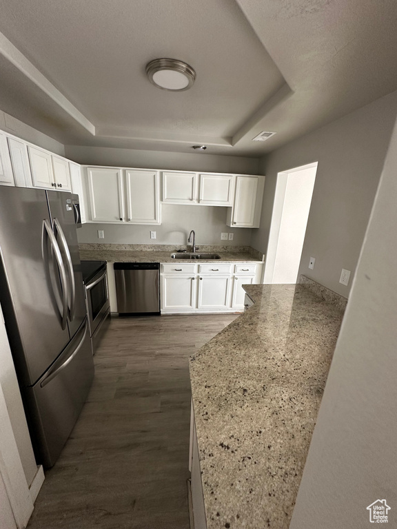 Kitchen featuring stainless steel appliances, a sink, white cabinets, and dark wood-type flooring