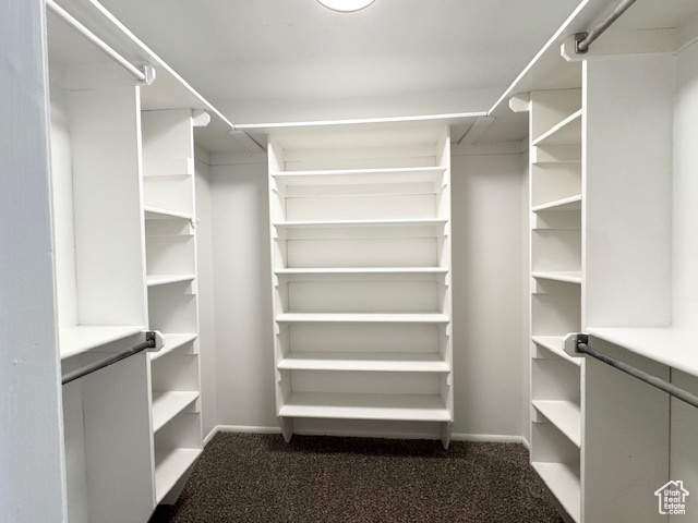 Spacious closet featuring dark colored carpet