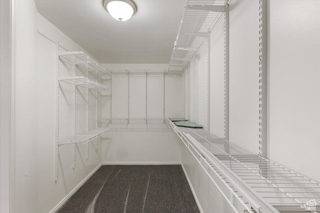 Walk in closet featuring dark carpet