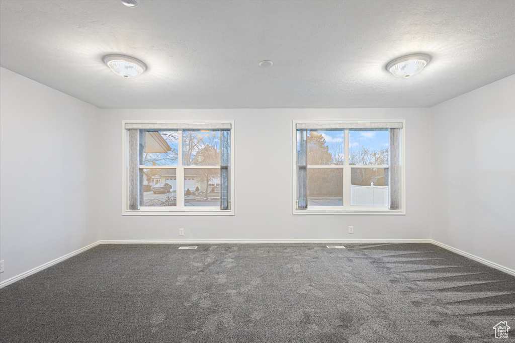 Spare room with baseboards, plenty of natural light, carpet, and a textured ceiling