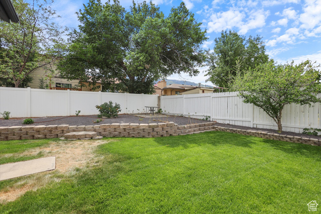 View of yard with a patio area