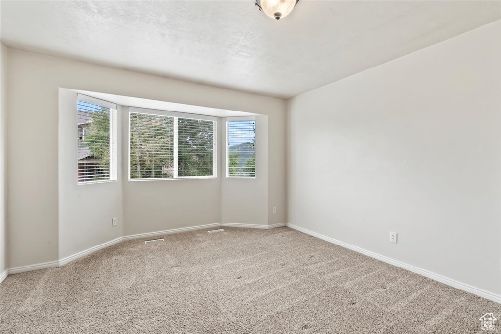 Carpeted spare room featuring plenty of natural light and baseboards