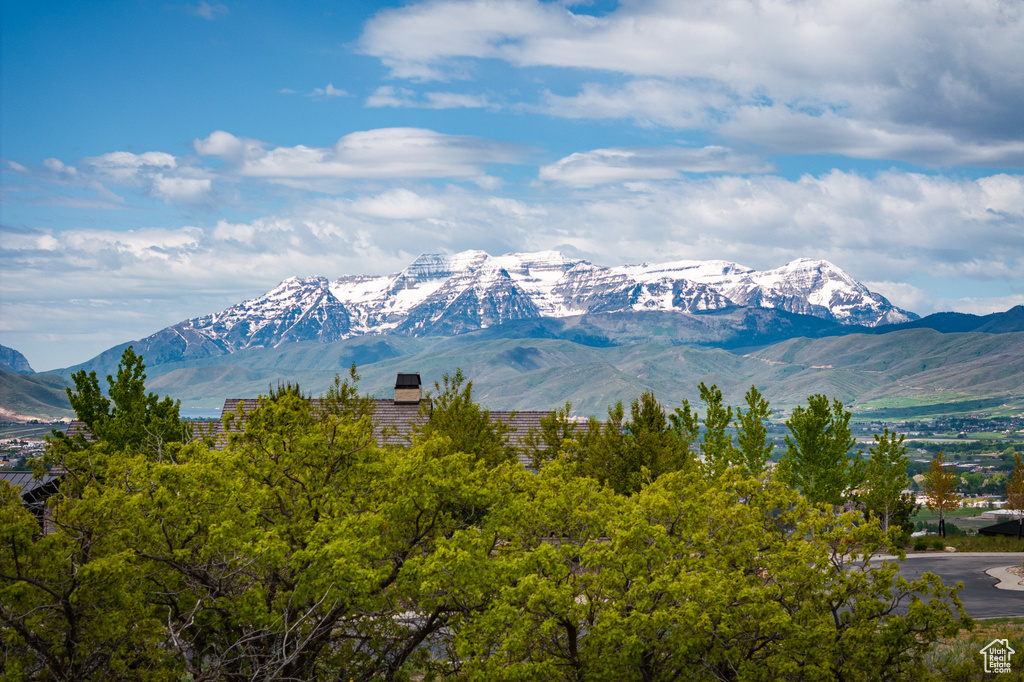 Mountain view
