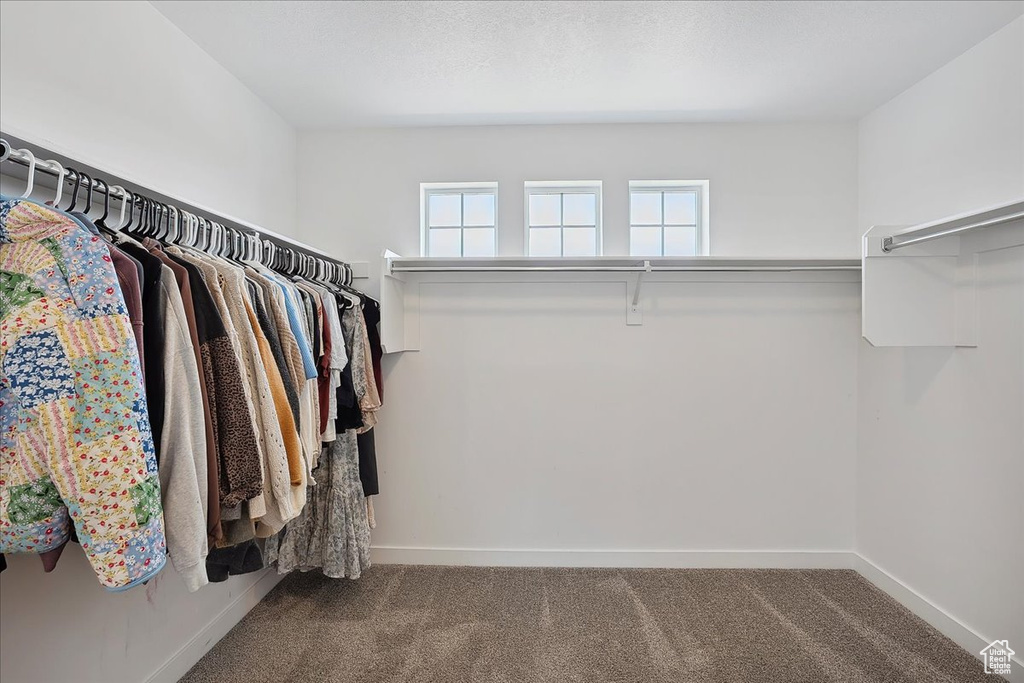 Walk in closet with carpet floors