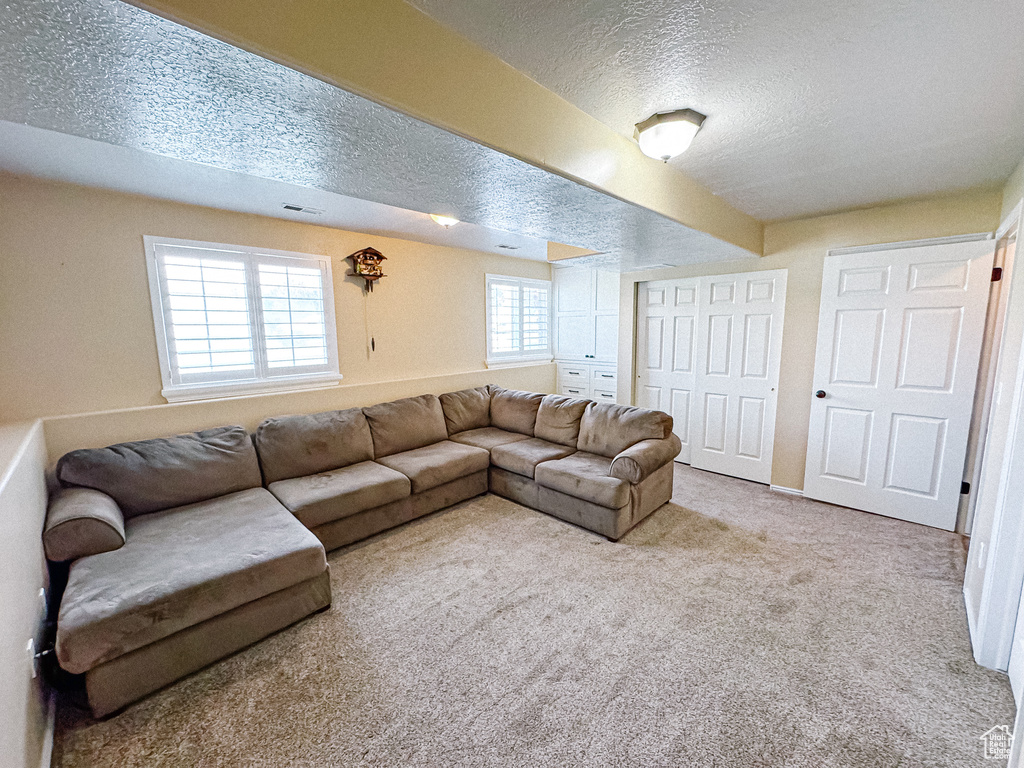 Living room featuring a textured ceiling and carpet flooring