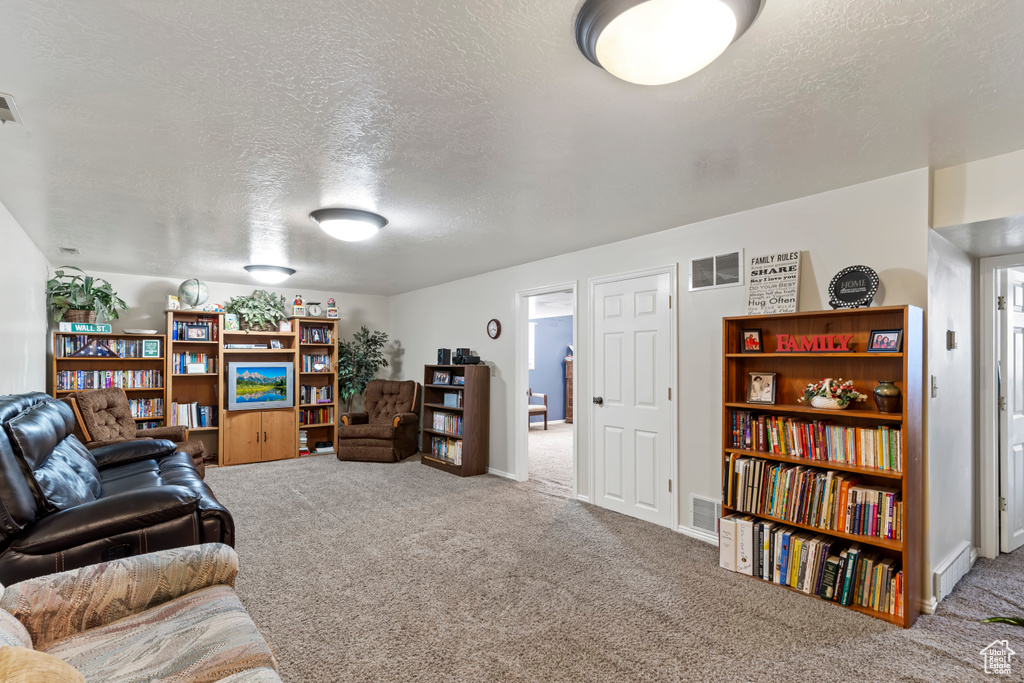 Living room with carpet floors and a textured ceiling